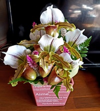 小さな決意（　＾ω＾）・・・・・ 2023/01/14 13:55:25