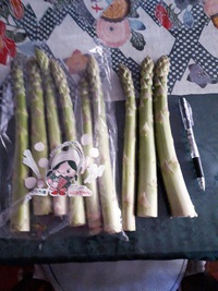 ヒェー大きすぎ！！ 2023/05/10 19:39:01