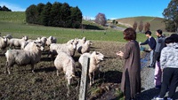 ニュージーランド旅行　帰国から3カ月