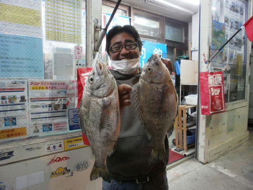 やっと釣れました チヌ釣り シーランドスタッフ釣行記 Ti Da版