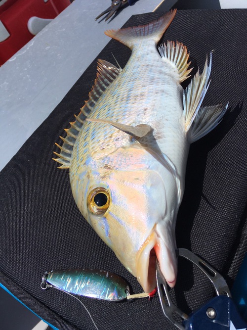 ルアースプーン 釣りマニア必見! ルアースプーン 釣りマニア必見!