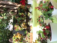 天然香房 2013/12/07 14:38:58