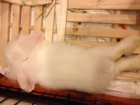 2013年02月02日