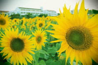 １年が過ぎました…。其の１