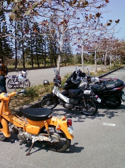 旧車会 in 名護県民の森2013