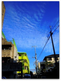 「奇跡のリンゴ」