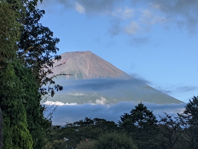 厳しい現実を直視する時