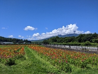 富士山の噴火 2021/08/23 20:24:00