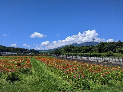 富士山の噴火