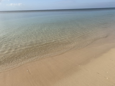 晴れてます☀️