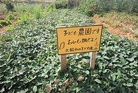 ブレイバックPart１収穫祭 2013/04/23 12:14:26