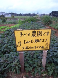 おいも畑の看板発見！