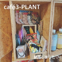 café3-PLANTさんへ納品しました♬ 2020/11/16 16:59:43