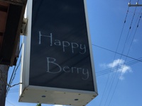 HAPPY  Berry