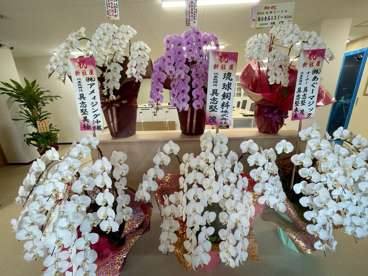 昭和制作 社員ブログ2:vol.②丸市ミート様の新社屋が南城市に 昭和制作 社員ブログ2:vol.②丸市ミート様の新社屋が南城市に