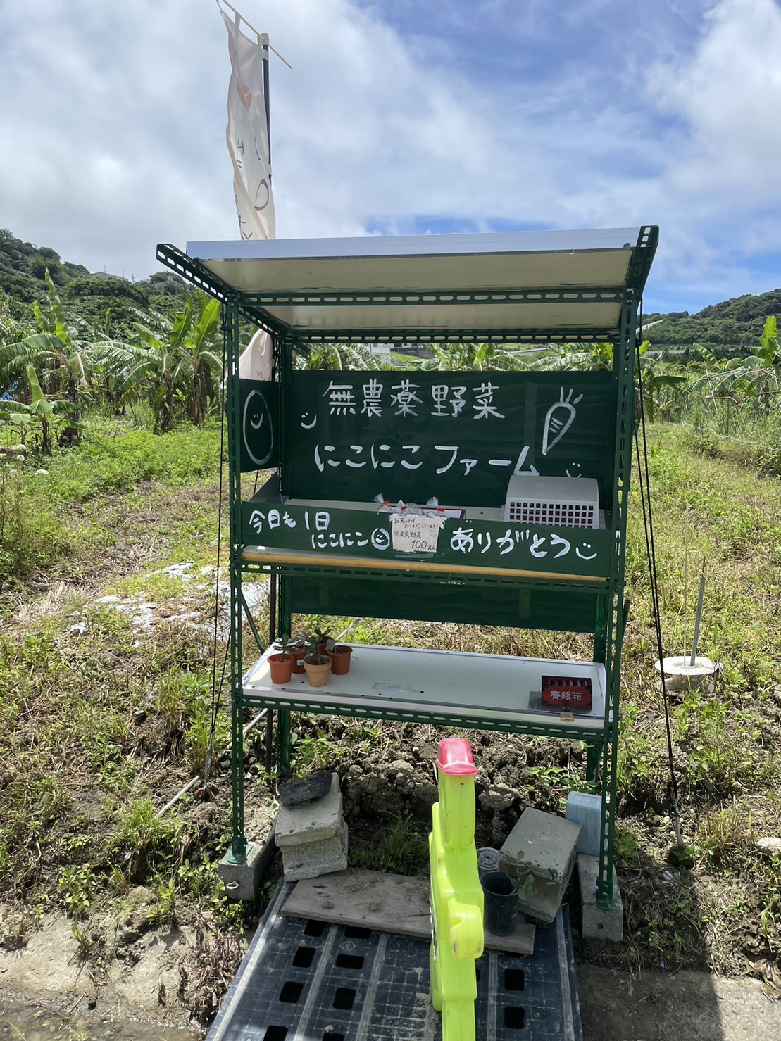 ラテが超美味しい♡南城市にあるサボテン畑の中の隣にある「珈琲バルepl (イプル)」さんへ行ってきました！