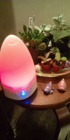 現実逃避しちゃってますが( 笑) 2011/01/05 19:18:41
