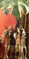 魔女たちの２２時にでてって..... .(笑)(〃▽〃)(笑 ) 2011/01/06 19:48:09
