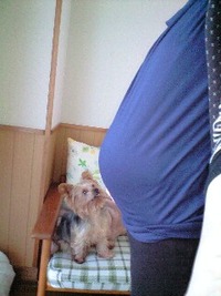 31週0日☆
