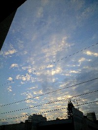 久しぶりの☆ 2010/02/08 11:15:28