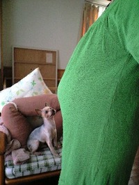 ママ祭り…？☆ 2010/02/10 22:00:35