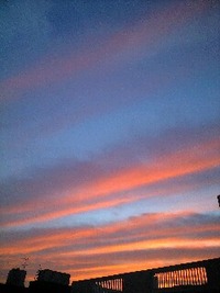 結婚式の…☆ 2010/02/11 23:25:14