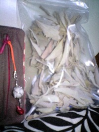 『セージ』と『石』…☆ 2010/03/12 23:18:40
