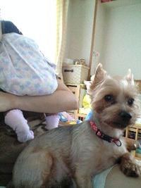 わん社長☆ 2010/06/18 23:13:15