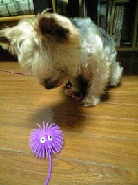 初めての・・・☆ 2010/08/14 23:38:42