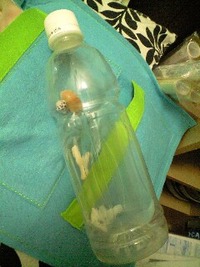 しゃかしゃか・・・☆ 2010/09/24 23:04:17