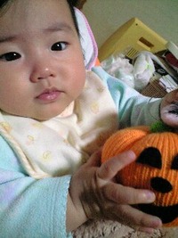 どうやら・・・ 2010/11/02 01:16:42