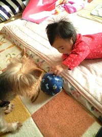 最近ね。 2010/11/03 23:05:41