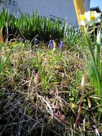今朝ね・・・ 2011/04/12 16:25:00