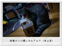 今日の院長代理 2012/10/24 19:40:54