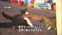 生きるって大変だ。。 2012/10/23 18:34:51