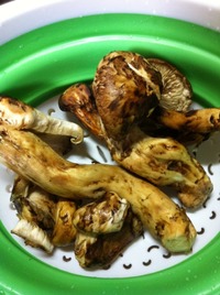 今が旬の松茸♪