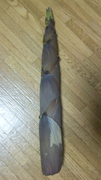 今が旬　たけのこ～