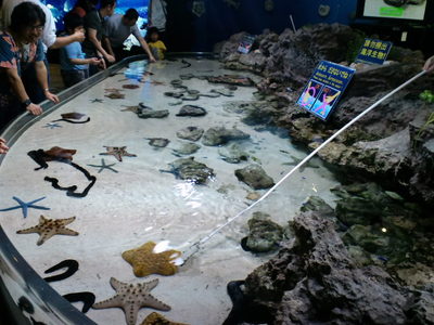 美ら海水族館にいってきた♪