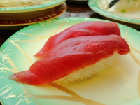 お寿司を食べに回転寿司へ