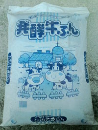 ゴーヤーの日だったのにぃ・・・(-。－;)