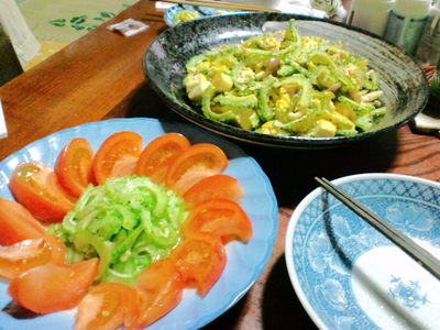 台風前に収穫した自家製ゴーヤー食べます！