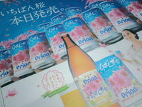 今年もオリオンビール いちばん桜でました～♪ 2012/11/29 11:45:00