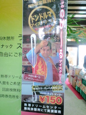 美ら海花まつりと国際洋蘭博覧会　やんばるへ その弐