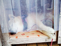 梅雨が明けましたね 2010/06/22 12:07:48
