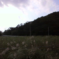 研修日記 2012/11/15 00:05:00