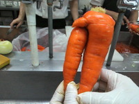 何に見える？ 2012/12/29 10:17:10