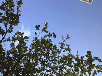 Strong wind 2013/01/15 23:54:26