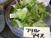 おシャレタス( 笑) 2013/01/21 17:08:19