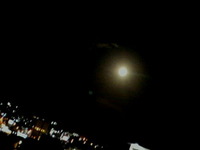 見上げてごらん♪ 2013/01/27 19:52:48