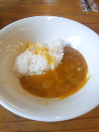 手羽元となすのカレー 2012/11/08 15:16:28